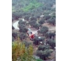 Monitor attacks on the occupation of an agricultural project in Kafr El-Dik