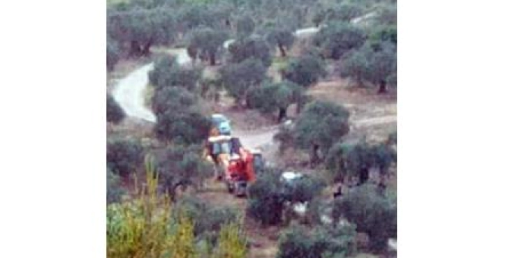 Monitor attacks on the occupation of an agricultural project in Kafr El-Dik