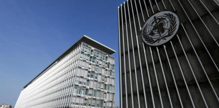 Trump&acute;s attack on the WHO is a blow to global efforts to tackle the Covid-19 epidemic