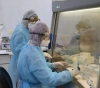 Gaza: Two new cases of Coronavirus were recorded