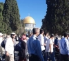 500 settlers Storm Al-Aqsa mosque