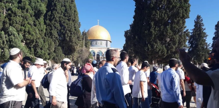 500 settlers Storm Al-Aqsa mosque