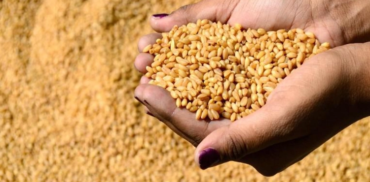 Russia suspends its grain exports until July 1