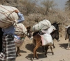 More than 78,000 families of Yemeni al-Hodeidah displaced, UN official said