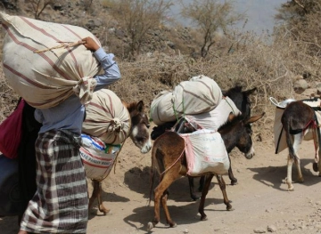 More than 78,000 families of Yemeni al-Hodeidah displaced, UN official said