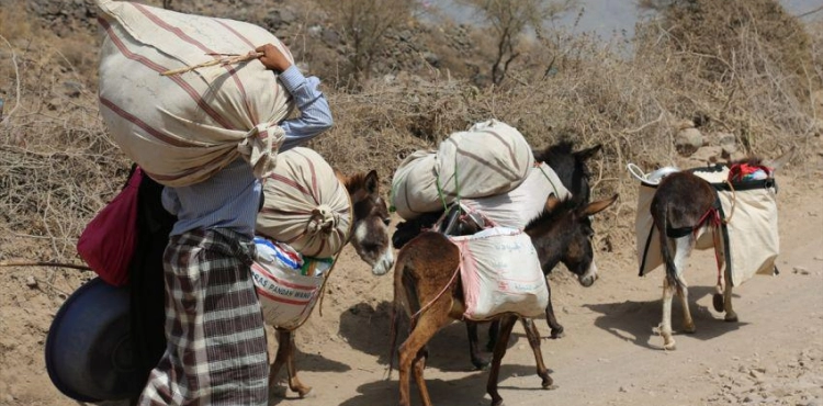 More than 78,000 families of Yemeni al-Hodeidah displaced, UN official said