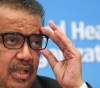 The WHO emergency committee will assess the course of the epidemic on Thursday
