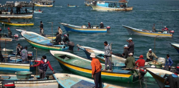 Gaza: the occupation targets fishermen, farmers and sheep herders