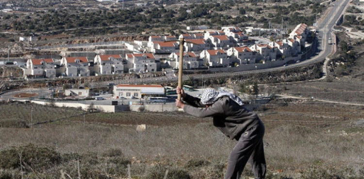 The Israeli occupation approves the construction of 7,000 new settlement units in the West Bank