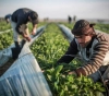 Gaza: The occupation targets fishermen, farmers and sheep herders