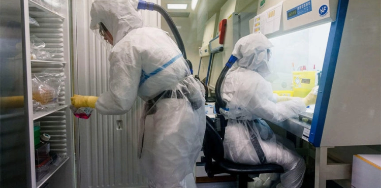 Gaza: two new cases recover, and warning of a virus threat