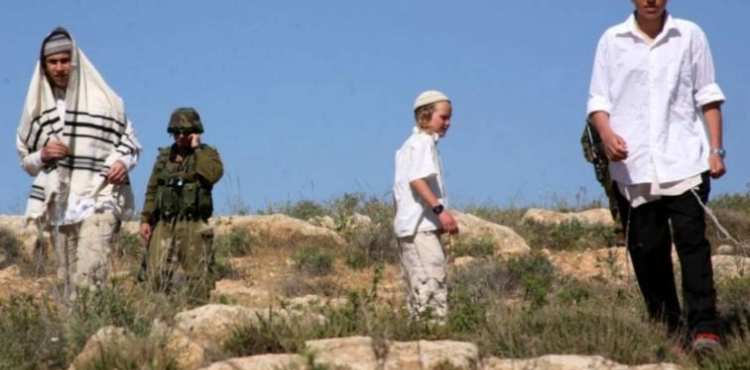 Settlers steal farmers&acute; crops in Yatta