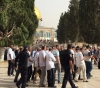 440 settlers Storm Al-Aqsa mosque