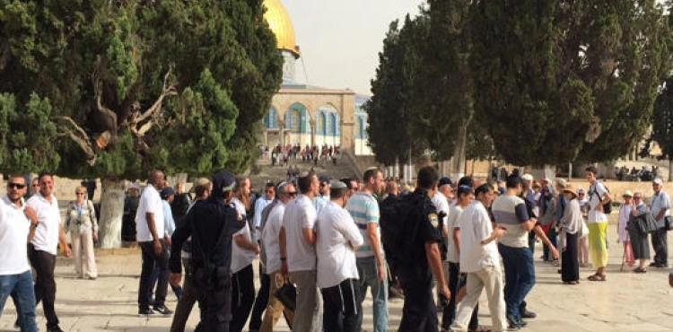 440 settlers Storm Al-Aqsa mosque