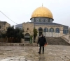 Occupation imposes unprecedented changes in the status quo in al-Aqsa, taking advantage of the &quot;Corona&quot; crisis