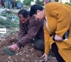 After their house was demolished. The parents of the prisoner Kassam Barghouti plant a seedling &quot;cactus&quot; in his vicinity