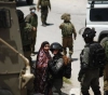 Prisoners of Palestine: 56 cases of detention during two days, the majority of which are from Jenin