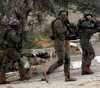 Occupation arrests 8 citizens at dawn Thursday