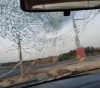 Settlers attack the vehicles of citizens, north of Nablus