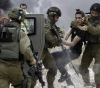 Occupation arrests 29 citizens