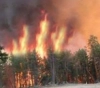 Settlers set fire to agricultural land east of Tulkarm