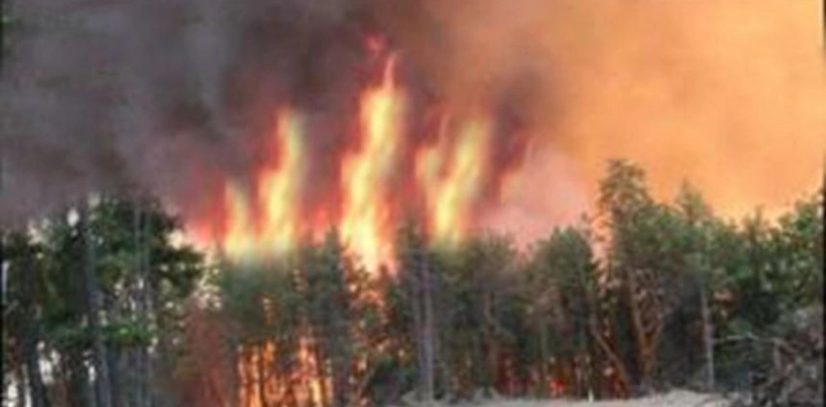 Settlers set fire to agricultural land east of Tulkarm