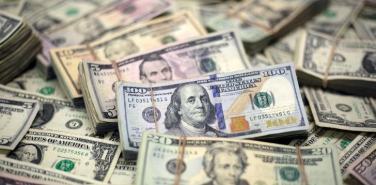 Vegetative: $30 million Gaza lost in a month