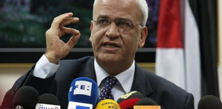 Erekat calls on the world to recognize Palestine and take immediate measures to curb the annexation