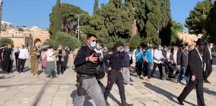75 settlers break into al-Aqsa and arrest 6 citizens