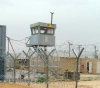 800 Palestinian prisoners since the beginning of Corona, half of them from Jerusalem