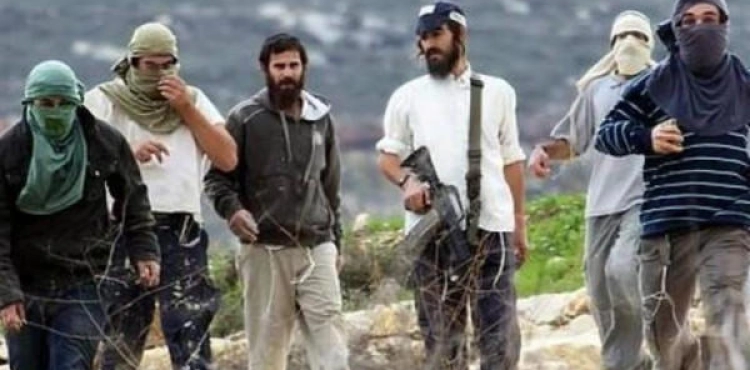 Settlers forcibly expel farmers from their lands east of Bethlehem