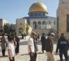 61 settlers storm the Al-Aqsa Mosque