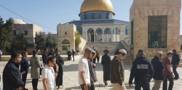 61 settlers storm the Al-Aqsa Mosque