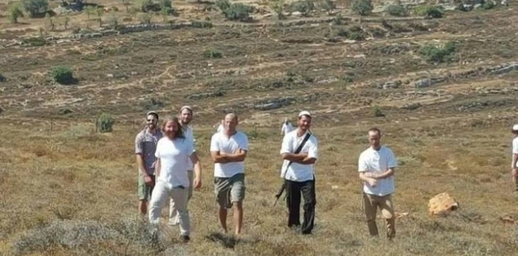 Settlers cut dozens of olive trees in Burin