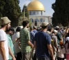 54 Settlers Storm Al-Aqsa mosque