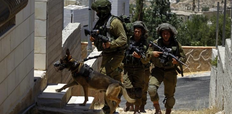 The occupation forces raided 50 houses in Al-Auja