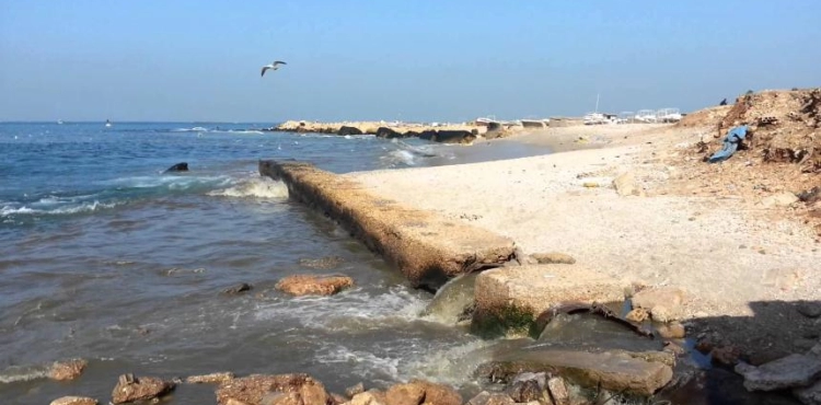 Gaza: Further improvement in seawater quality