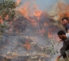 Settlers set fire to Madama land
