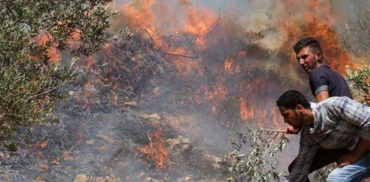 Settlers set fire to Madama land