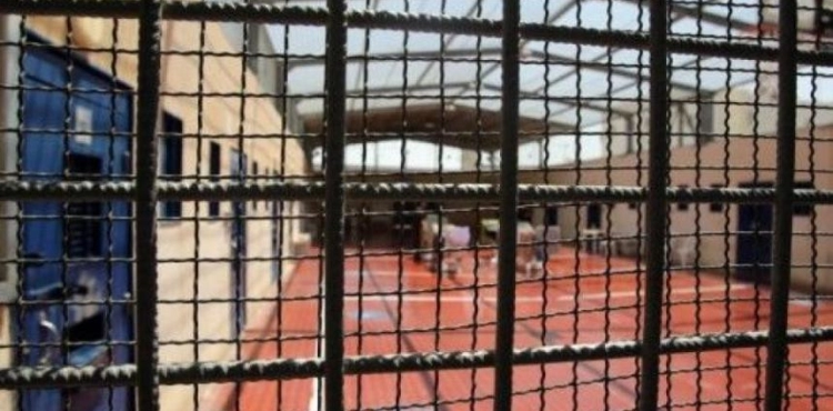 Hamdouna: The occupation presents the sick prisoners to the doctors via video conference