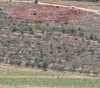 Settlers sweep the land south of Nablus