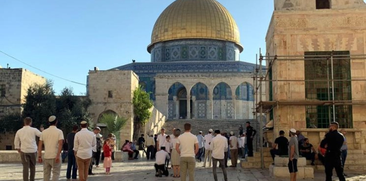 Dozens of settlers led by extremist Glick storm &quot;Al-Aqsa&quot;