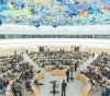 The United Nations discusses the human rights situation in the occupied Palestinian territories