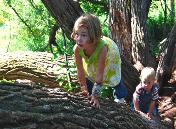 Warnings of the &quot;destructive&quot; effects of the stone on children