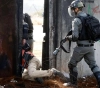 Occupation arrests 14 Palestinians