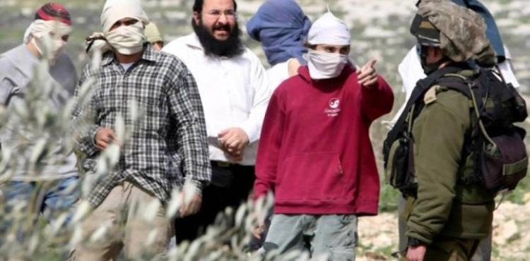 Settlers injure a citizen after attacking him near Khan al-Ahmar