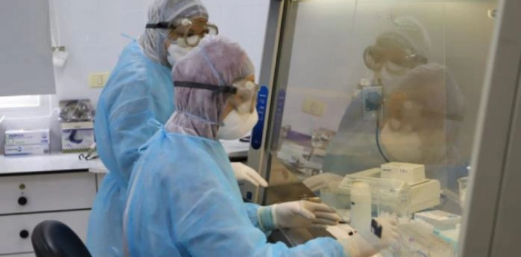 Gaza: 26 samples were examined without new injuries