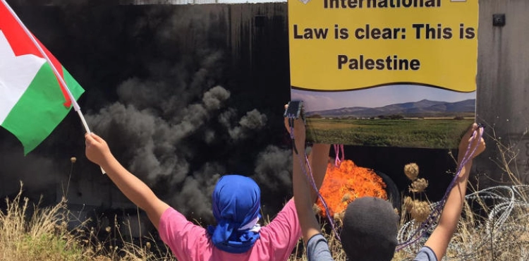 Demonstrations in the West Bank and Gaza Strip against the Israeli annexation scheme