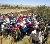 The occupation suppresses a peaceful activity against settlement in the foothills of Jabal Ebal, north of Nablus