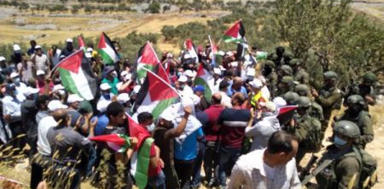The occupation suppresses a peaceful activity against settlement in the foothills of Jabal Ebal, north of Nablus
